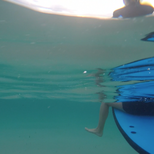 Clean clear water on the south coast